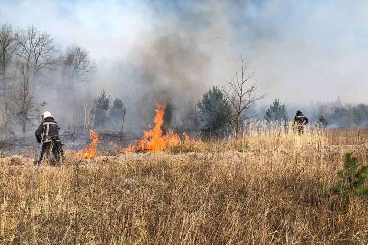 Біля Києва горять ліси і трава: у соцмережах повідомляють про кілька масштабних пожеж (відео)