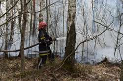На Житомирщині пожежі у лісових масивах локалізовано, триває гасіння трави (фото, відео)
