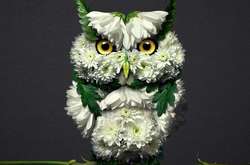 Художник создает невероятные портреты животных из цветов (фото)