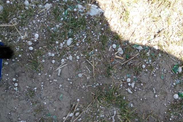 На Житомирщині чоловік знайшов біля свого городу 2 кг ртуті (фото)