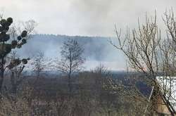 Горить трав'яний настил і очерет поблизу с. Старі Безрадичі 