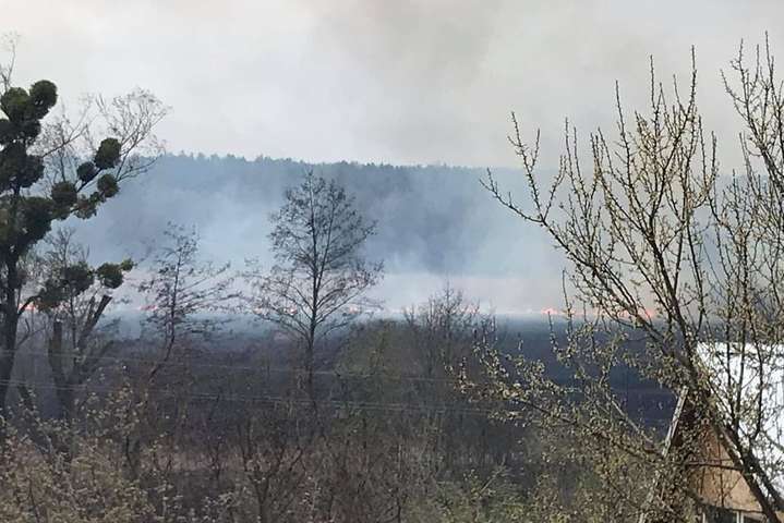 Под Киевом большой пожар: огонь охватил 20 га сухостоя и перекинулся на дома