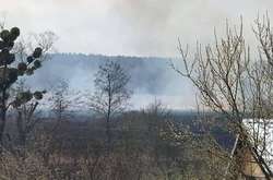 Под Киевом большой пожар: огонь охватил 20 га сухостоя и перекинулся на дома