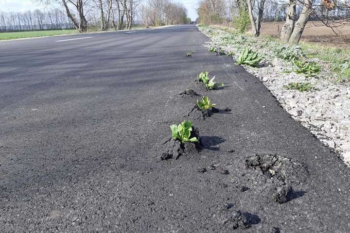 Крізь дороги, збудовані за президента Зеленського у 2019-му, вже пробиваються рослини