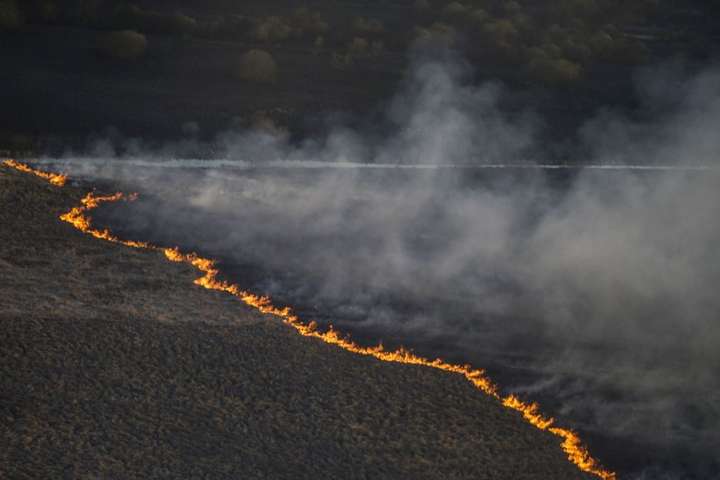 Пожежі у Чорнобильській зоні: знищено 5% заповідника