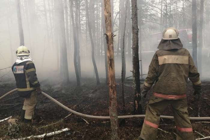 На Житомирщині і в Чорнобильській зоні досі тліє трава та дерева. Оперативні дані станом на ранок 26 квітня