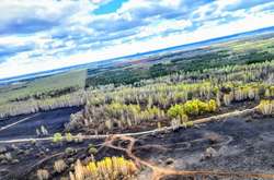 У Чорнобильській зоні ліквідували всі осередки пожежі