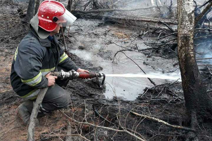 Рятувальники локалізували лісову пожежу на Житомирщині