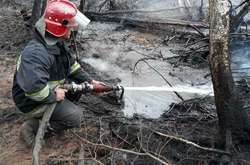 Рятувальники локалізували лісову пожежу на Житомирщині