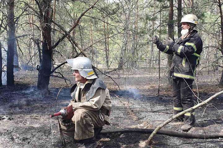 Пожежі в лісах навколо Києва. Оперативні дані станом на ранок 27 квітня (фото)