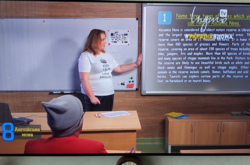 Скандали у Всеукраїнській онлайн-школі. Міносвіти перевело стрілки на Банкову