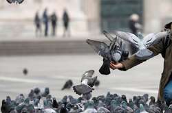 Влада Сицилії обіцяє туристам повертати 50% вартості авіаквитків 