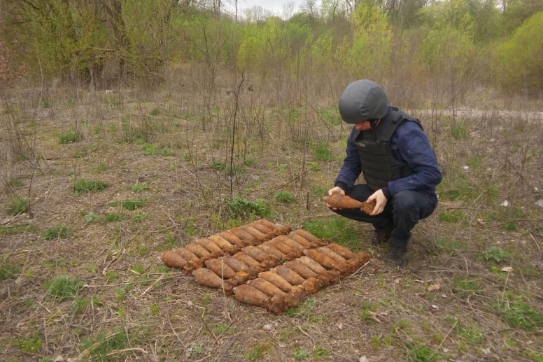 39 мінометних мін викопали у селі на Вінниччині