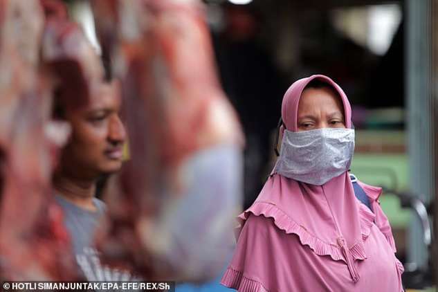 Фото не для слабонервных: в Индонезии нашли рынок с летучими мышами и крысами