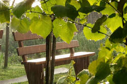 Дощі та грози: синоптики дали прогноз на травневі вихідні 