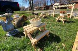 Американец Джеймс Вриланд во дворе своего дома устроил ресторан