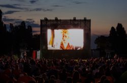 В мире резко увеличилось количество пиратства