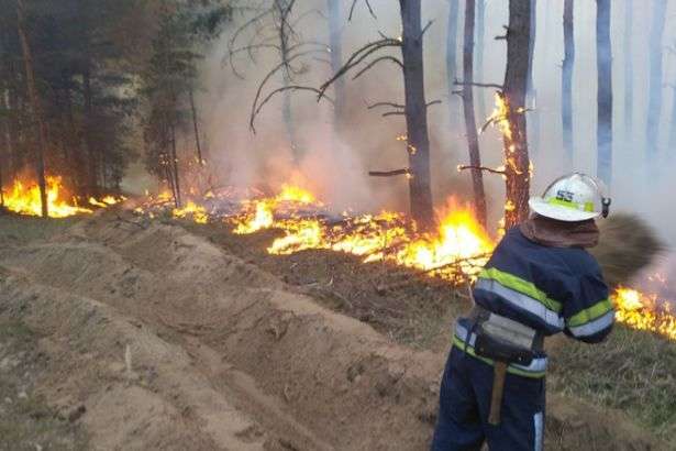 На Житомирщині третій день вирують пожежі