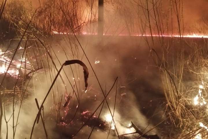 Пожежі не припиняються: навколо Києва горять торф’яники та сухостій (фото)