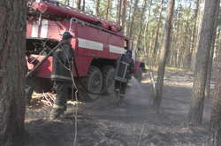 Пожежі на Київщині та Житомирщині локалізовано - ДСНС