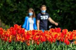  Американські вчені провели дослідження, результати якого свідчать, що коронавірус нібито боїться сонячного світла, тепла та вологи 