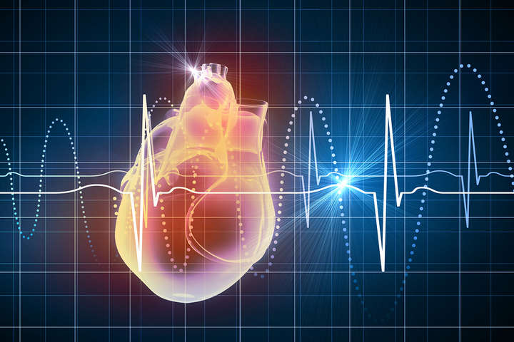 Серцебиття впливає на сприйняття світу - вчені