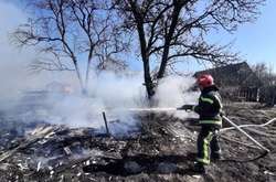 На Житомирщині пенсіонерка загинула через підпал сухої трави