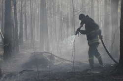 У Чорнобильській зоні і на Житомирщині продовжують гасити осередки пожеж