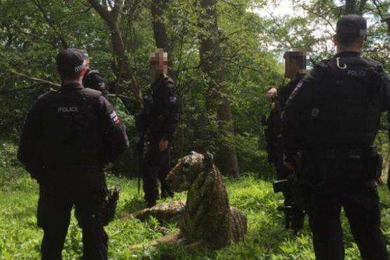 У Британії поліція на вертольотах ловила тигра, який виявився статуєю: фото