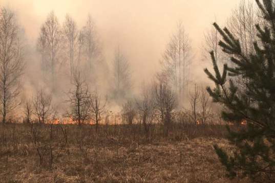 Пожежі на Житомирщині: рятувальники надають допомогу з ліквідації осередків тління