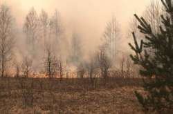 Наразі надається допомога працівникам лісових господарств у гасінні окремих осередків тління лісової підстилки, пеньків та деревини