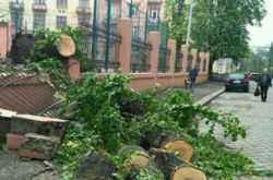У Чернівцях негода повалила дерева: пошкоджені дахи будівель, рух транспорту обмежений