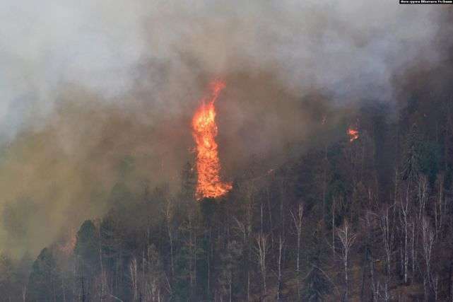 Пожежі у російському Сибіру: з початку року згоріло 3 млн га лісів