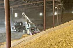 Міністр економіки запевняє, що цьогоріч пшениці в Україні удвічі більше за минулі роки 