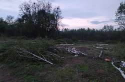 Забудовник знищує ліс в охоронній зоні в Пирогові (фото)