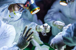  В Росії заявили, що повністю перемогти коронавірус без вакцини неможливо 