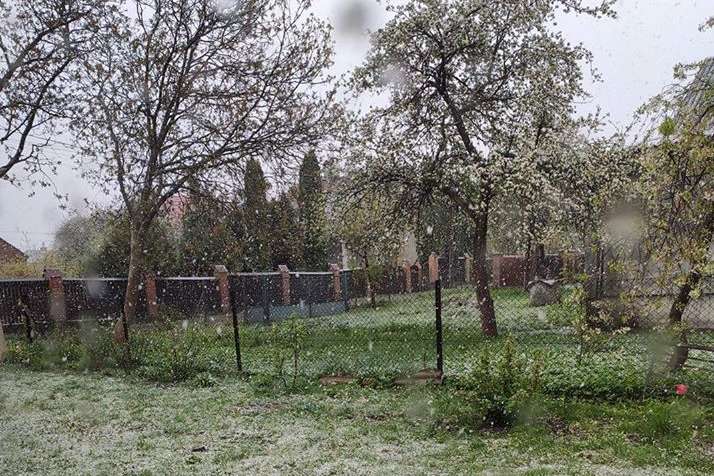Погода з'їхала з глузду: у Львові дощ перейшов у сніг