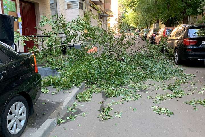 Напередодні 75-річчя Перемоги ураган повалив у Москві 75 дерев