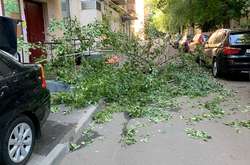 6 травня зареєстрована одна подія на сході Москви - на машину впало дерево і розбило скло