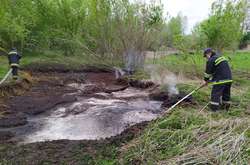 Під Києвом знову горіли торф’яники (фото)