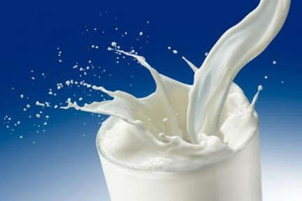 Економіст заявив про найбільший за шість років обвал прибутковості виробництва молока в Україні 