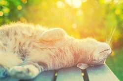 В Україну йде потепління. Синоптики розповіли, коли припиняться дощі 