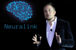 Компанія Ілона Маска Neuralink розробляє технологію, яка передбачає імплантацію електродів в мозок
