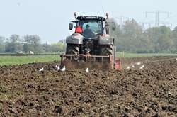 Складова палива у вартості різних товарів, зокрема, продуктів харчування, найчастіше переоцінена, - експерт