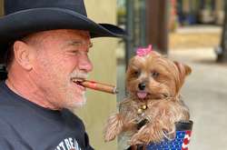 72-летний актер и политик Арнольд Шварценеггер