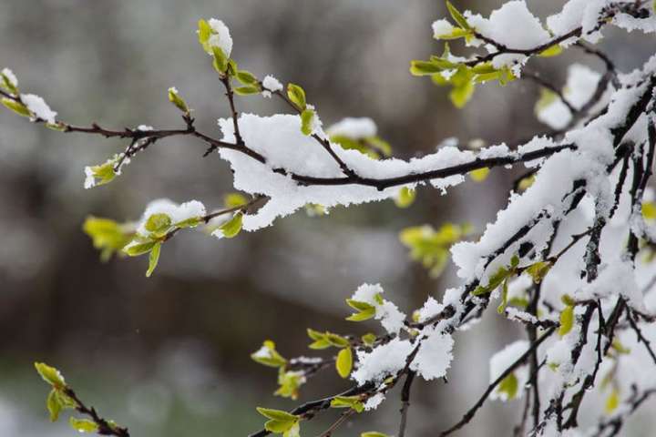 Синоптик прогнозує грози та сніг в Україні
