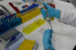  Міністерство охорони здоров’я Північної Кореї намагається розробити вакцину й накопичує «матеріали, необхідні для екстреної протиепідемічної роботи» 