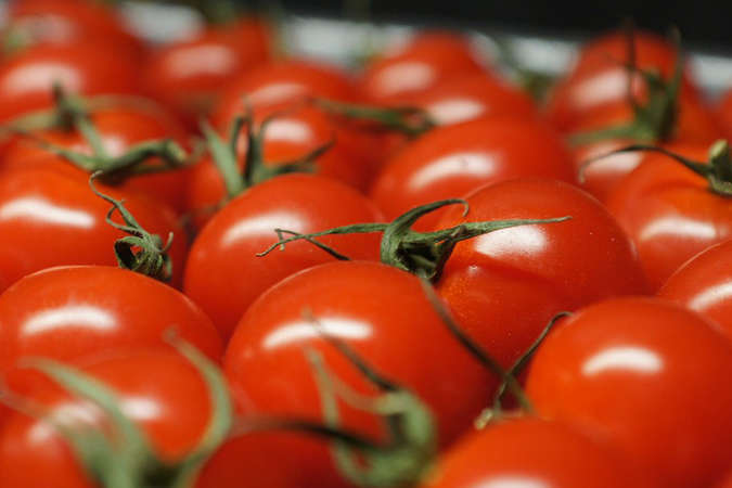 В Україні зростає імпорт томатів через високі ціни на вітчизняну продукцію