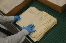  Деякі документи на аукціон 