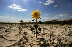 Про засуху, бездіяльність влади та суїцид фермера із Одещини